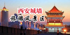 啪啪啪，免费插进来了中国陕西-西安城墙旅游风景区